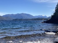 IMG_5438.jpeg