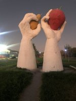 IMG_1803.jpeg