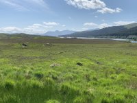 IMG_5124.jpeg