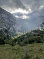 IMG_3381.jpeg IMG_3381.jpeg
