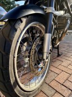 IMG_3644.jpeg