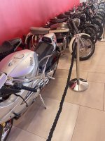 IMG_1538.JPEG IMG_1538.JPEG