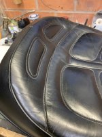 IMG_4282.jpeg