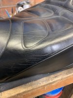 IMG_4284.jpeg