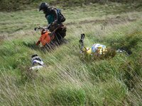 IMGP2203 (Small).JPG