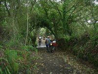 trail1.jpg