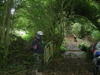 trail3.jpg