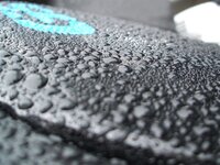 Bike 316.jpg