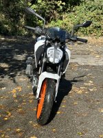 IMG_1162.jpeg