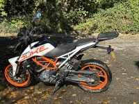 IMG_1158.jpeg