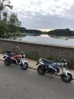 IMG_9734.jpeg