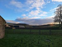 IMG_2748.jpeg