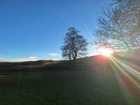 IMG_2747.jpeg