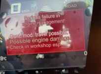 IMG_3131.jpeg