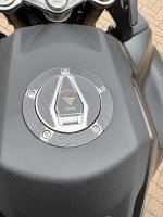 IMG_3169.jpeg
