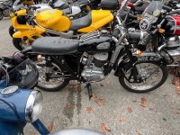 IMG_0390.jpeg