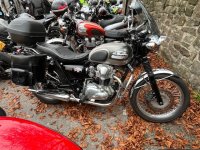 IMG_0391.jpeg