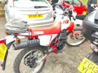 IMG_0405.jpeg
