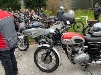 IMG_0419.jpeg