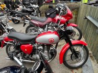 IMG_0442.jpeg