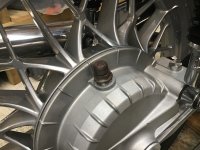 IMG_8330.jpeg