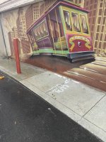 IMG_8942.jpeg