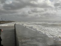 IMG_20241124_120052869.jpg