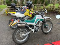 IMG_0540.jpeg