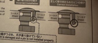 IMG_3838.jpeg