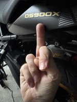 IMG_3627.jpeg