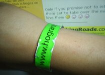 Hograostwristband arm 27092006.jpg
