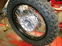 Lara new rear wheel.jpg