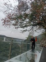 IMG20241212093146.jpg