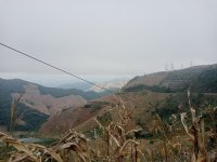 IMG20241213132917.jpg