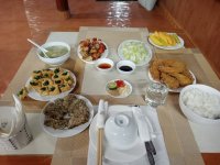 IMG20241213173900.jpg