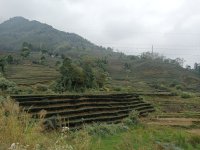 IMG20241215111221.jpg