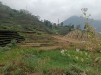 IMG20241215111233.jpg