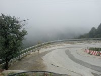 IMG20241215123041.jpg