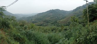 IMG20241215143551.jpg