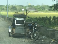 IMG_5641.jpeg