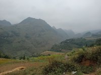 IMG20241217125049.jpg