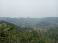 IMG20241219114013.jpg