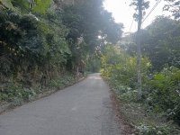 IMG20241219142406.jpg