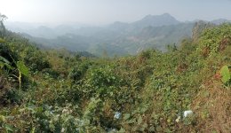 IMG20241220114402.jpg