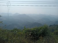 IMG20241220114654.jpg