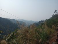 IMG20241221111519.jpg