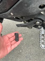 IMG_2973.jpeg IMG_2973.jpeg