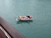 IMG20241223062124.jpg