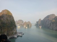 IMG20241223081553.jpg