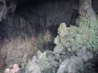 IMG20241225160306.jpg